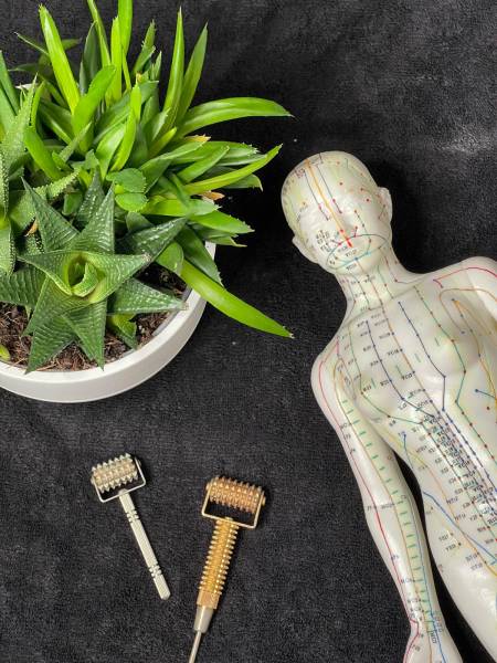 Centre de formation en beauté et bien être hollistique proche d'Avignon Vaucluse : Bienvenue à Maison Prana sur Le Pontet !