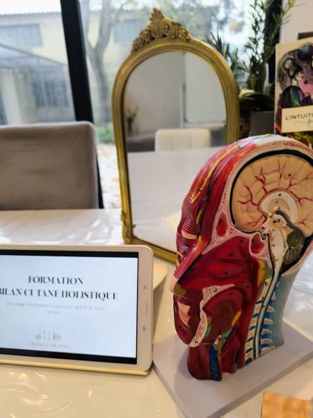 Formation diagnostic de peau Holistique 