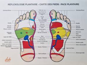 FORMATION REFLEXOLOGIE PLANTAIRE AVIGNON